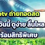 บอลสดวันนี้ pptv